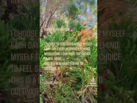 Divine affirmation 🪻 #manifestation #louisehayaffirmations #shorts #healing