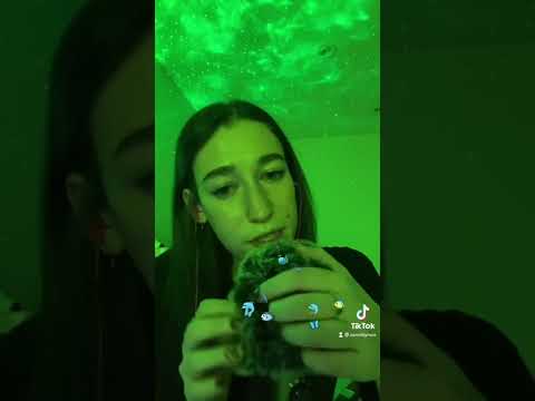 ASMR bug search (looking for bugs in the mic)