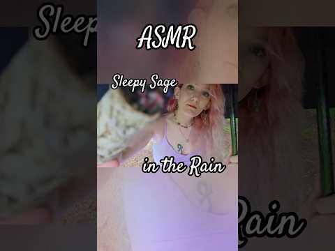 Sleepy Sage in the Rain  #asmr #relax #sleepy #rain #smudging #sage #auracleansing #ambient