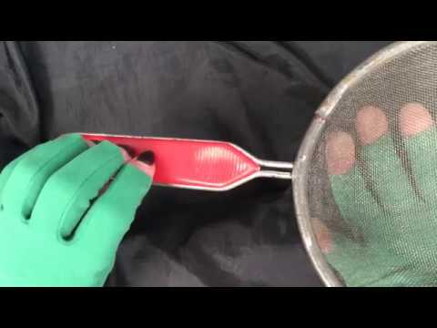 ≼◉ืTapping & Scratching an Iron Sieve (✪‿✪)ノ  [[ASMR]]