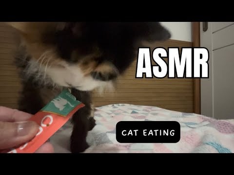 ASMR - RELAXE COM A MINHA GATA 🐱🎧 | RELAX WITH MY SWEET CAT EATING 😴