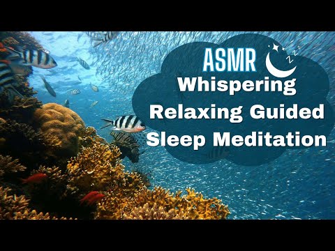 ASMR Whispering Guided Sleep Meditation