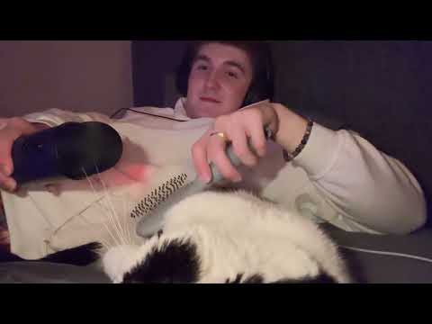 ASMR with my cat! 🐱 (purring and brushing noises)