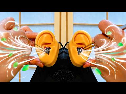 ASMR 청량 폭탄 이어블로잉과 귓바퀴 쓸기~ 귀청소 (노토킹)