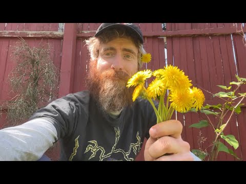 ASMR🌼Fast Aggressive Random Lfi🌼