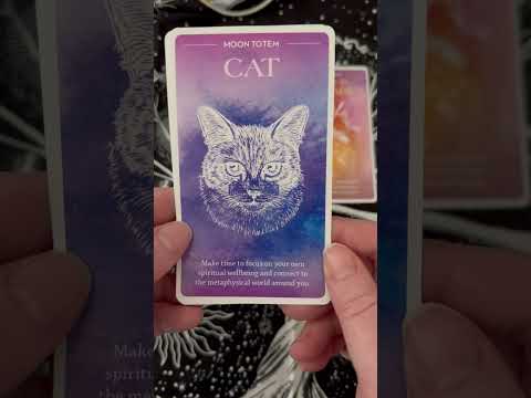Three Card Moon Oracle Reading 🌙 🔮 #asmr #tarot #oraclecards