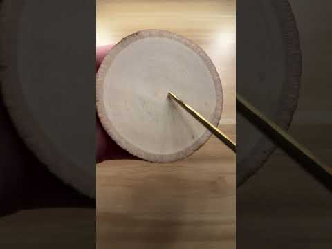 Wood Tapping ASMR #shorts