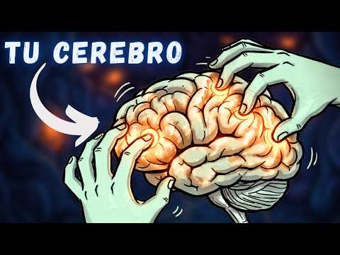 ¿Qué está pasando en tu cerebro mientras escuchas ASMR? 🧠