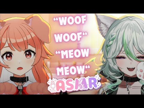 【 LIVE 🔴 Puppy and Neko Girl ASMR】Woof Woof Meow Meow【Alias Anono | @pillowdearASMR 】