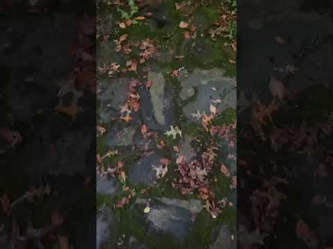 And just like that..it’s fall.