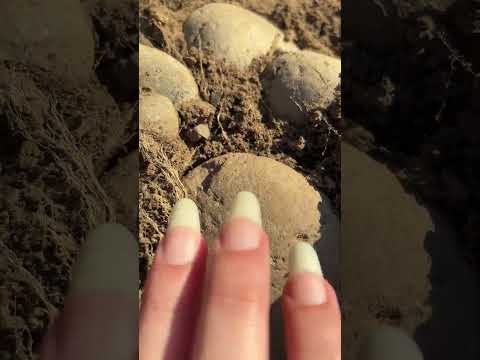 Nature asmr ^_^ #asmr