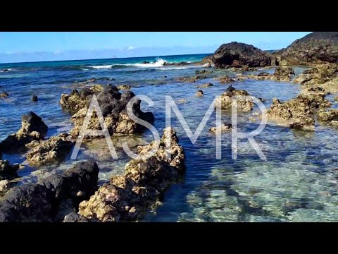 ASMR🎧 SUSURROS Y SONIDOS DE LA NATURALEZA🌊 (mar, arena, piedras, viento...) ASMR ESPAÑOL