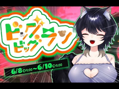 【#サモラン 】BIG【#新人vtuber 】