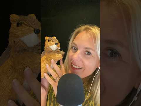 ASMR FR / Tu vas adorer cet écureuil crépitant #asmrfr #shortsasmr #asmrfrançais