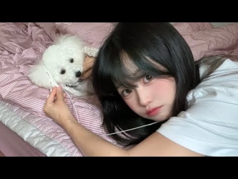 부시럭부시럭 침대 위 강아지와 나 🐶💤