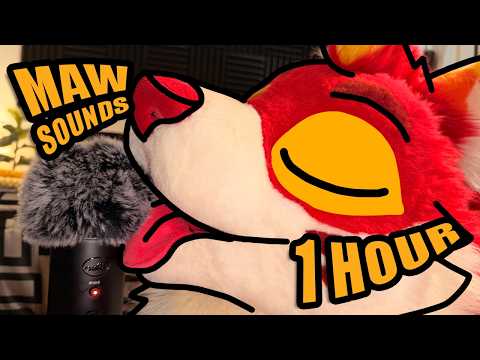 Furry ASMR Maw Sounds SO GOOD You'll 100% Fall Asleep 😴 (1 Hour)