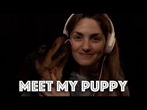 ASMR | Meet My Puppy / Dog Story Time