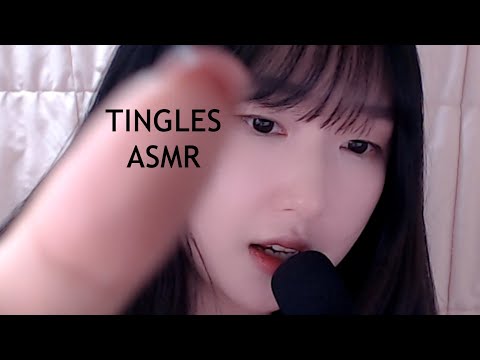 ASMR 입소리 같은 초근접 팅글 단어반복ㅣMouth Sounds TINGLEㅣ口の音