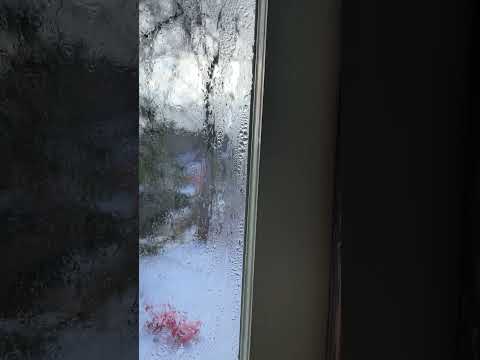 A drip of water on an icy window.
