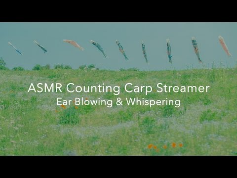 [ASMR] ささやき声でこいのぼりを数える、吐息の音 Counting Carp Streamer, Ear Blowing, Whispering