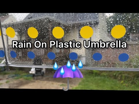 ASMR Rain On Plastic Umbrella Real Rain Sounds Walking Back and Forth Front Yard to Backyard