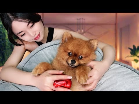 ASMR Puppy Pampering ~ Relaxing Spa Treatment
