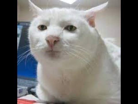 ASMR