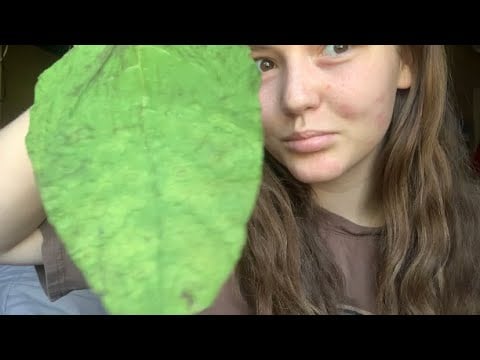 Asmr | Ramble and Chill with me😎 + other triggers
