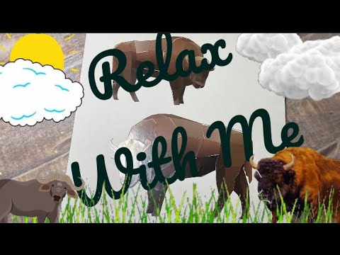 ASMR VISUAL & SOUND TRIGGERS: BUFFALO  STICKER PUZZLE #344