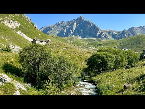 ASMR nella natura 🐄⛰️ #asmr #relax #trekking #nature #alpine