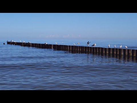 asmr nugget | at the seaside | wave sounds, tracing in the sand + whispered voiceover