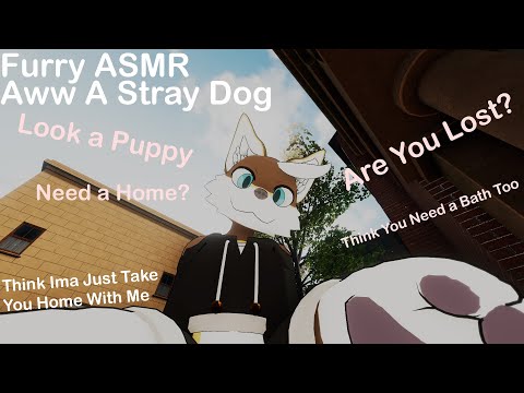 [Furry ASMR] Your A Stray Dog