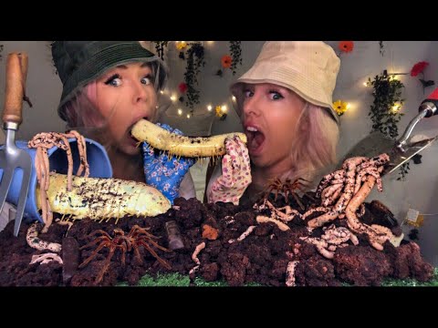 ASMR EATING WORMS, GIANT CENTIPEDE, EDIBLE GARDENING TOOLS, EDIBLE DIRT/SOIL MUKBANG | HUNNIBEE ASMR