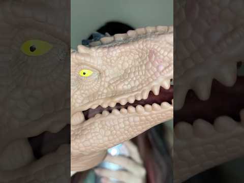 Asmr dino 🦖