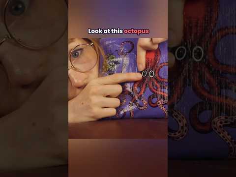 Look at this octopus 🐙 #asmr