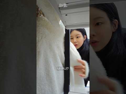 ASMR 다이소에서 조용히 싹쓸이중이 갓성비템이에요..!