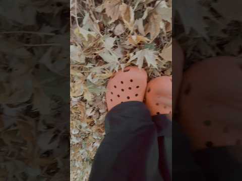 Crocs n crunchies asmr