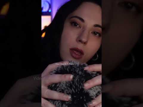 Bugs Searching ASMR 🐛🪱🐛