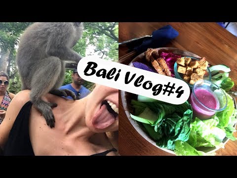 BALI VLOG#4 im Affen Park + weiter geht's nach Canggu