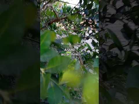 ASMR ao ar livre. #asmr #dormir #asmrsounds #asmrcaseirinho #relax #asmrvideo #tingles #asmrtriggers