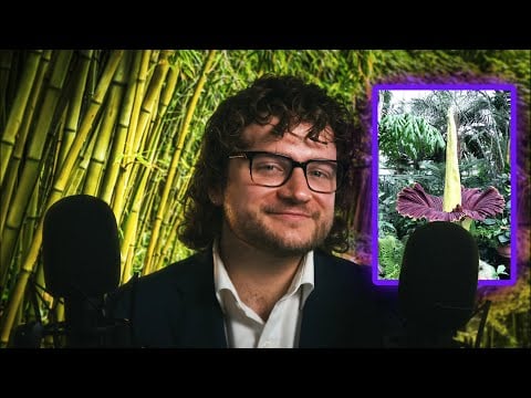 ASMR: Titan Arum (Corpse Flower), Botany Facts | Ear-to-ear Whispering