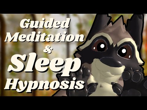 [Furry ASMR] Guided Meditation and Sleep Hypnosis | Tingles, Relax and Sleep!