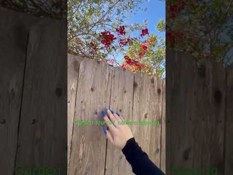 Nature asmr #relax #asmr #cameratappingasmr #whispering #tingles #tapping