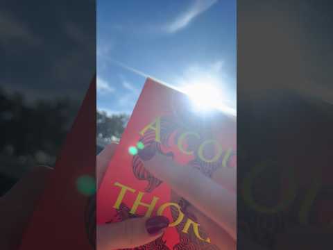 ASMR Book Sounds! 📚☀️