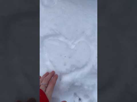 #asmr  Walking in crunchy Snow ❄️🧤 (Lo-Fi)