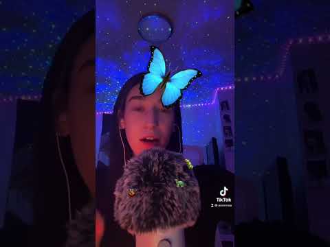 ASMR bug search! #asmr