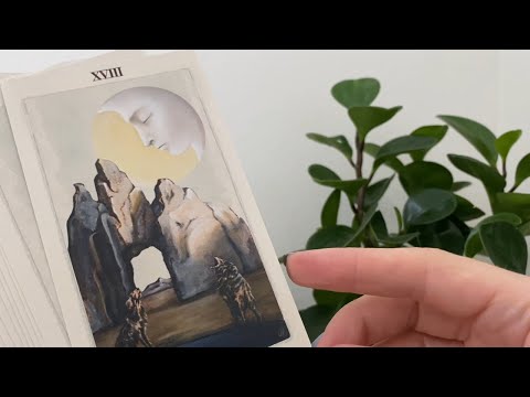 ASMR Tarot Deck Collection ☾ Updated