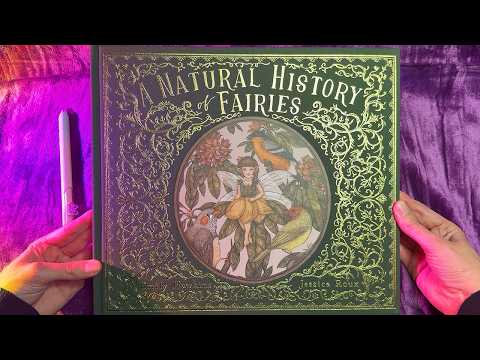 ASMR The History of Fairies 🧚 Book Tracing (Whispered)