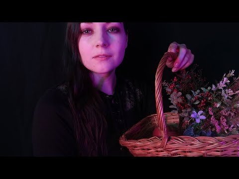 ASMR Good Witch Heals You 🎃⭐ Personal Attention Roleplay