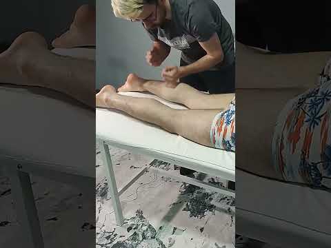 THE IDEAL MASSAGE THERAPY FOR HIND LEGS #satisfying #relaxing #asmr #shorts #massage